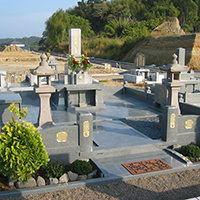 新規建墓